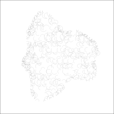 A landmass shape filled with lace